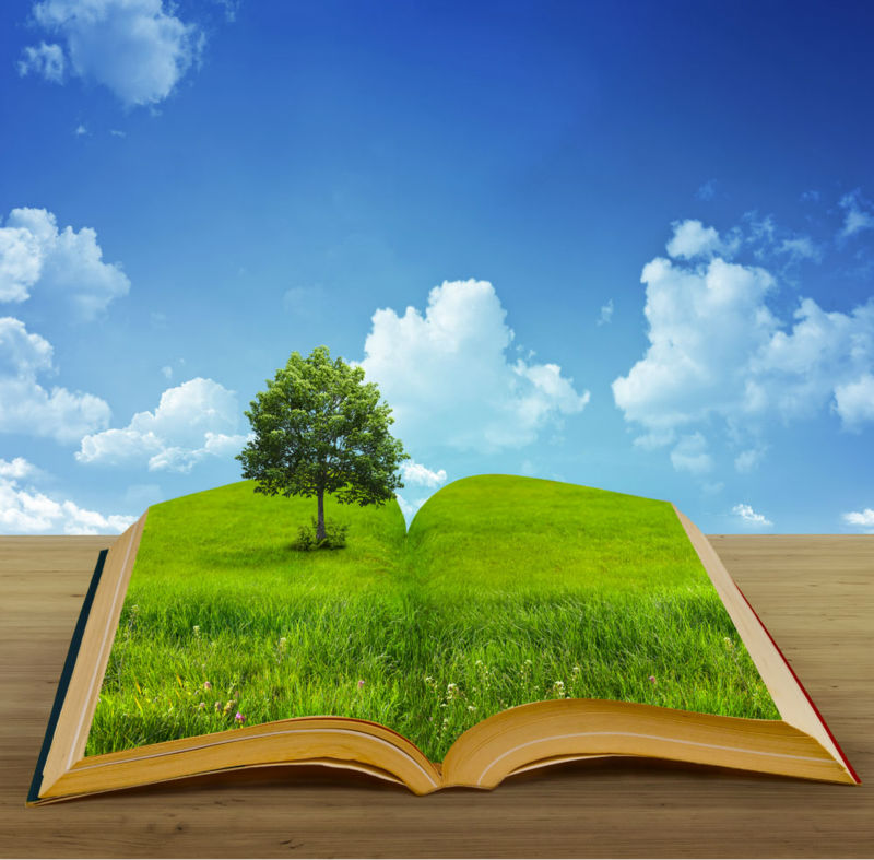 Проверка использования средств местного бюджета, выделенных на реализацию МВЦП «Охрана окружающей среды в муниципальном образовании город Краснодар на 2011-2013 годы»    
        
        
    