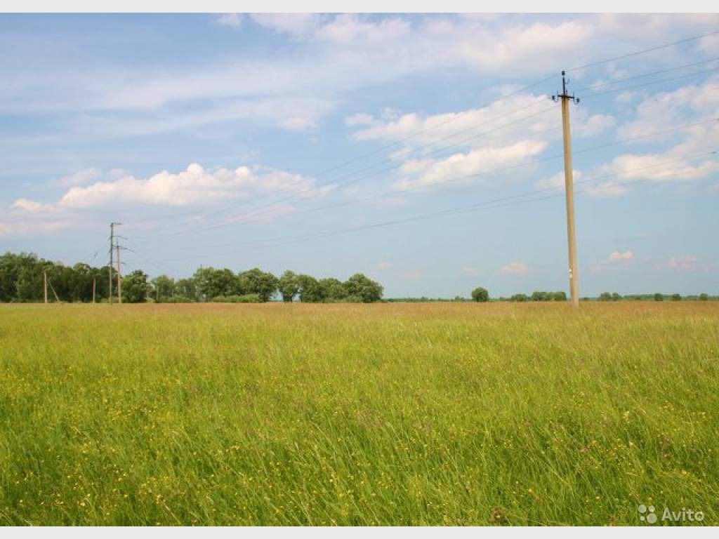 О результатах контрольного мероприятия «Проверка правомерности и эффективности управления и распоряжения земельными ресурсами муниципального образования город Краснодар, а также полноты и своевременности поступления в бюджет муниципального образования дох