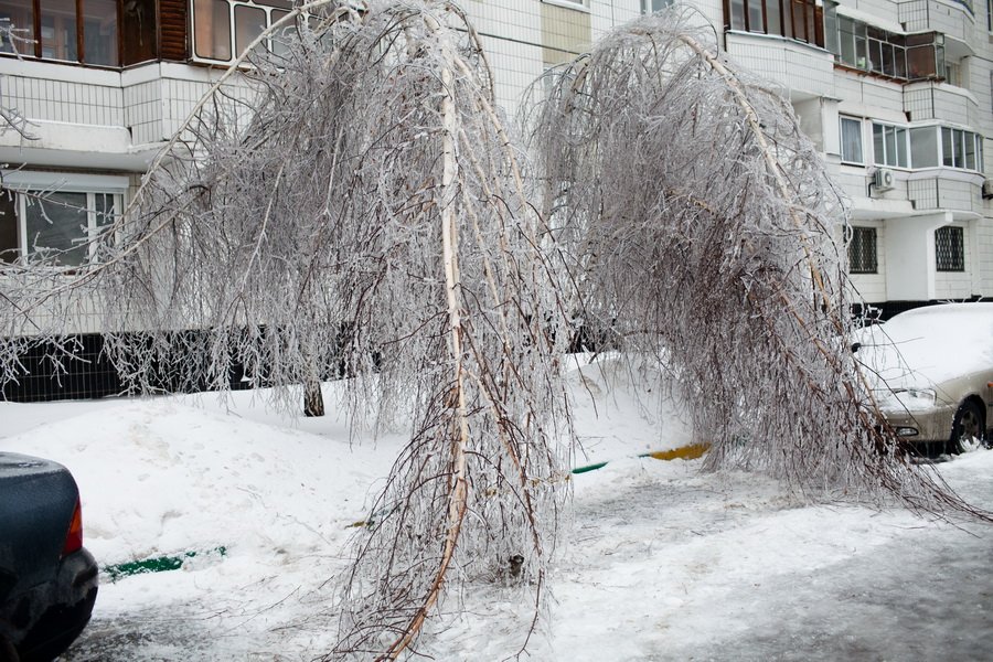 Проверка  расходования средств местного бюджета  из резервного фонда на выполнение работ по ликвидации последствий чрезвычайных ситуаций после ледяного дождя в 2014 году на территории МО город Краснодара     
        
        
    