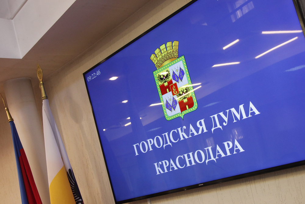 Людмила Балашева выступила на внеочередном заседании городской Думы