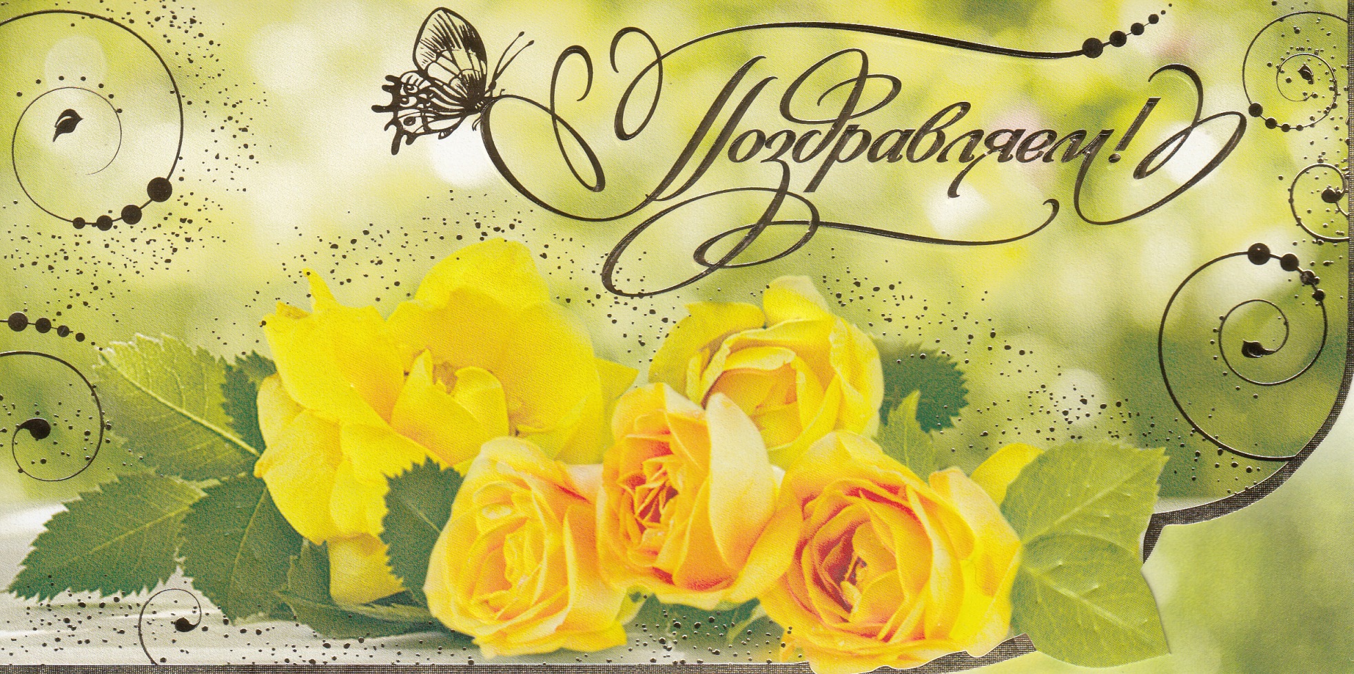 Поздравление председателя Контрольно-счетной палаты муниципального образования город Краснодар Л.И. Балашевой с Днем бухгалтера и аудитора!    
        
        
    